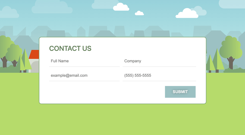 Contact Form Phone Number Masking